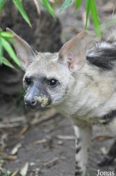 Rare Species Conservation Centre