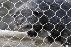 Rare Species Conservation Centre