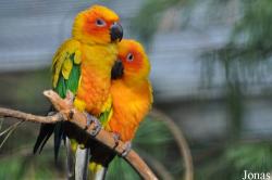 Vogelpark Marlow