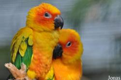 Vogelpark Marlow