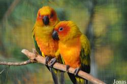 Vogelpark Marlow