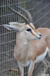 Chessington World of Adventures