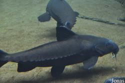 Zoo Leipzig