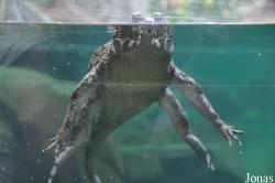 Zoo Leipzig