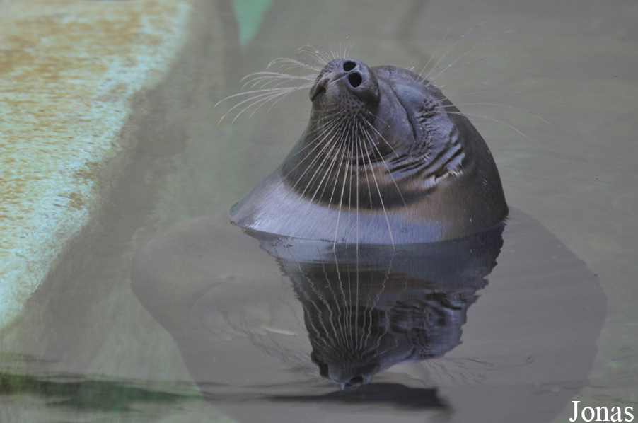 Zoo Leipzig