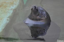 Zoo Leipzig