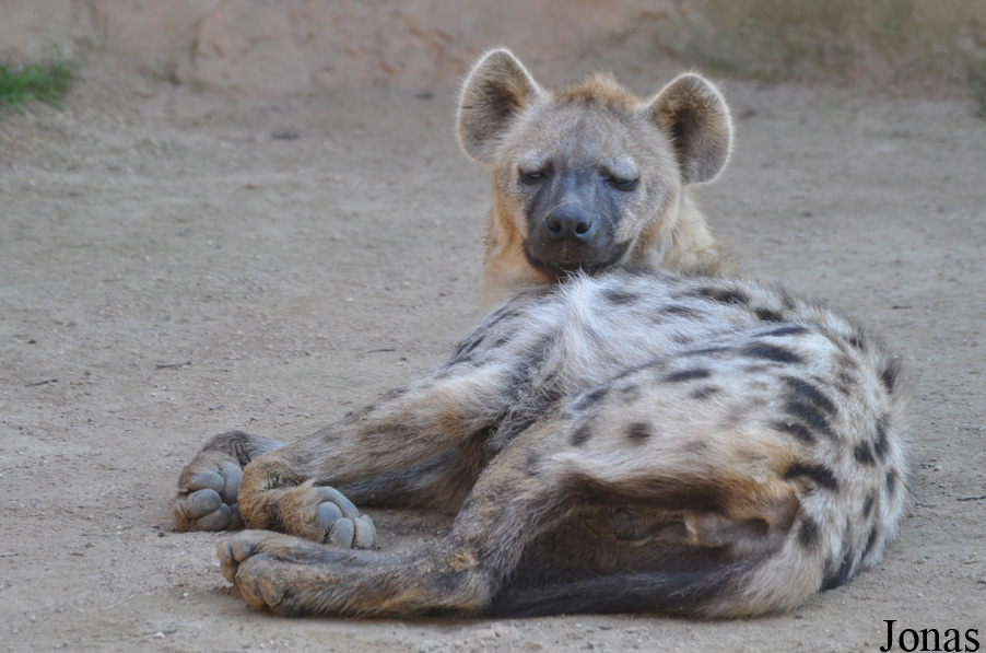 Zoo Leipzig