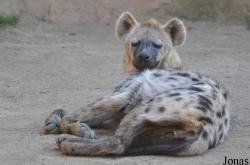 Zoo Leipzig