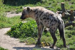 Zoo Leipzig