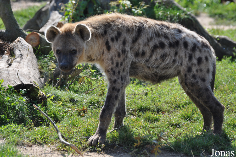 Zoo Leipzig