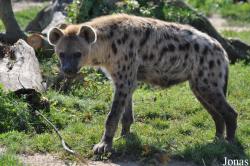 Zoo Leipzig