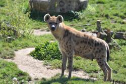 Zoo Leipzig