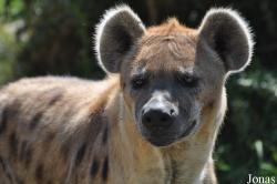 Zoo Leipzig
