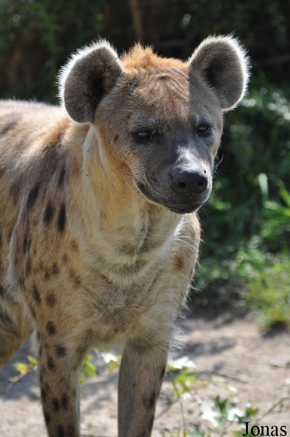 Zoo Leipzig