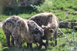 Zoo Leipzig