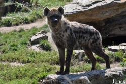 Zoo Leipzig