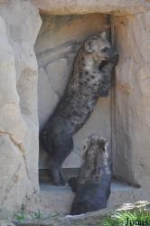 Zoo Leipzig