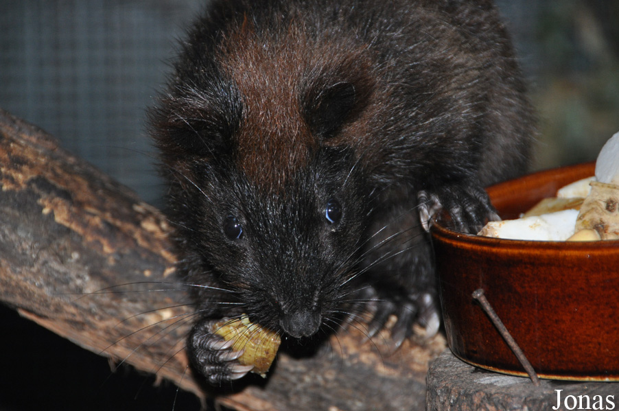 Zoo Leipzig