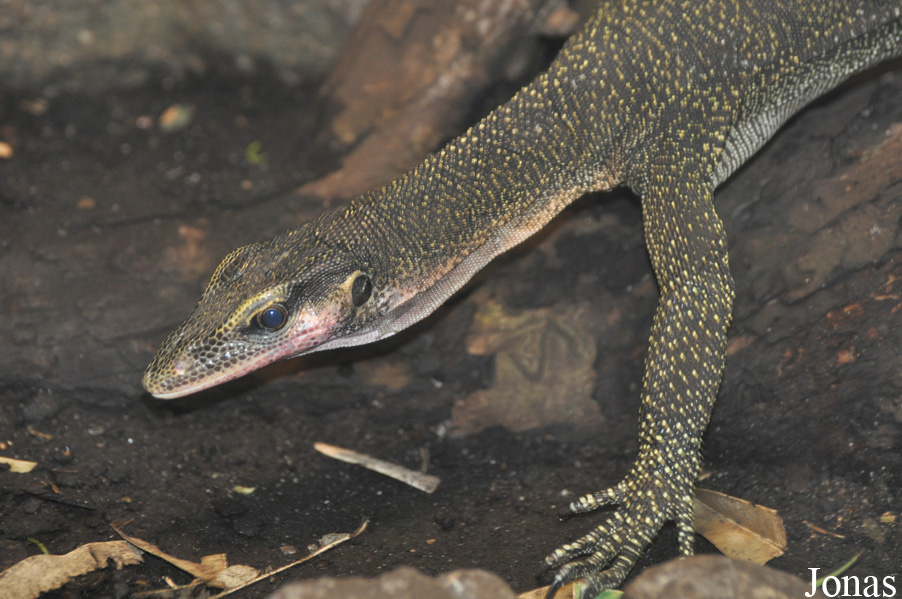Zoo Leipzig