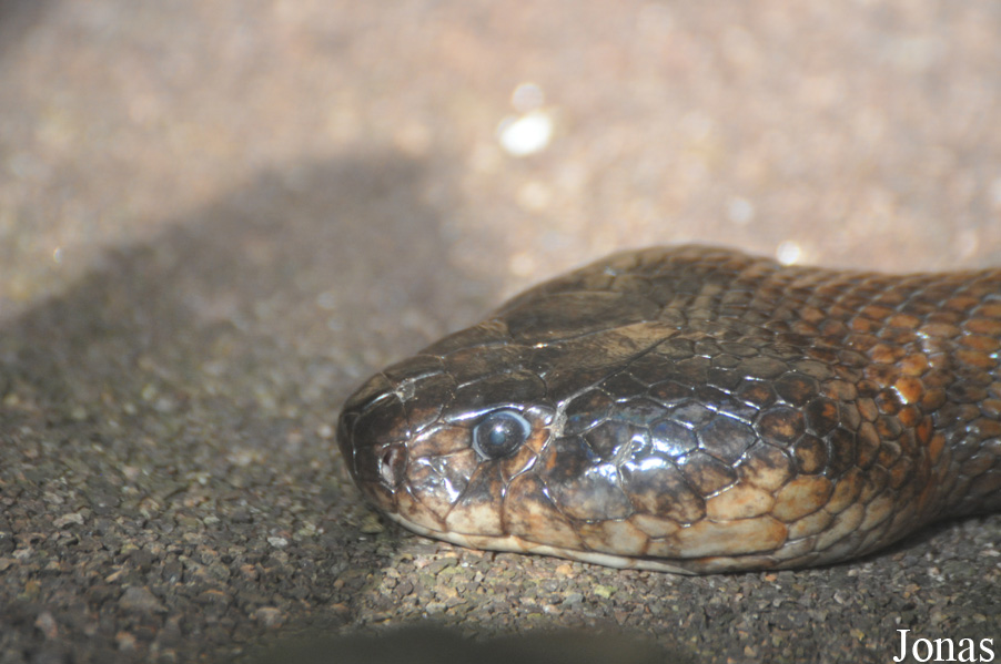 Zoo Leipzig
