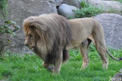 Zoo Leipzig