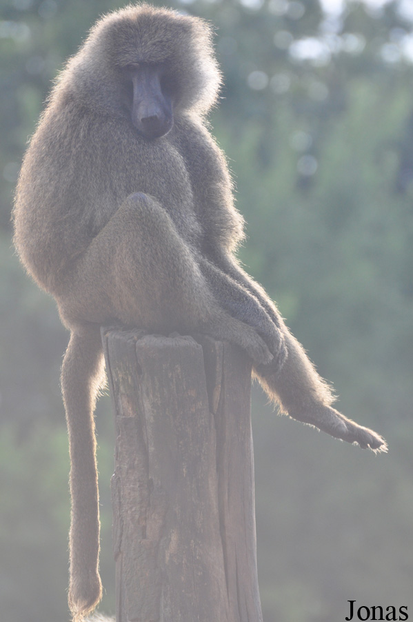 Zoo Wrocław