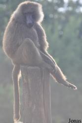 Zoo Wrocław