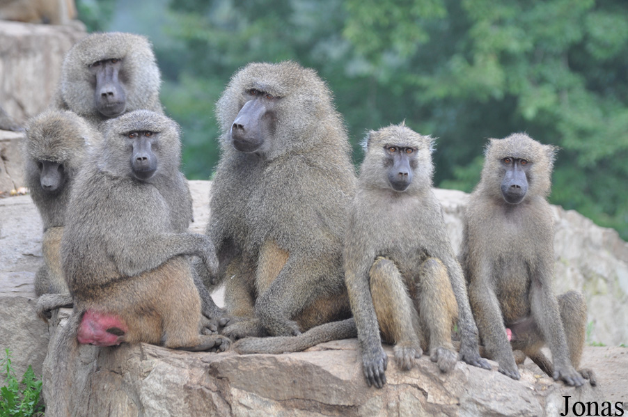 Zoo Wrocław
