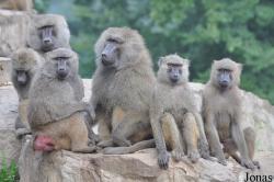 Zoo Wrocław