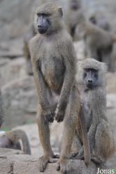 Zoo Wrocław