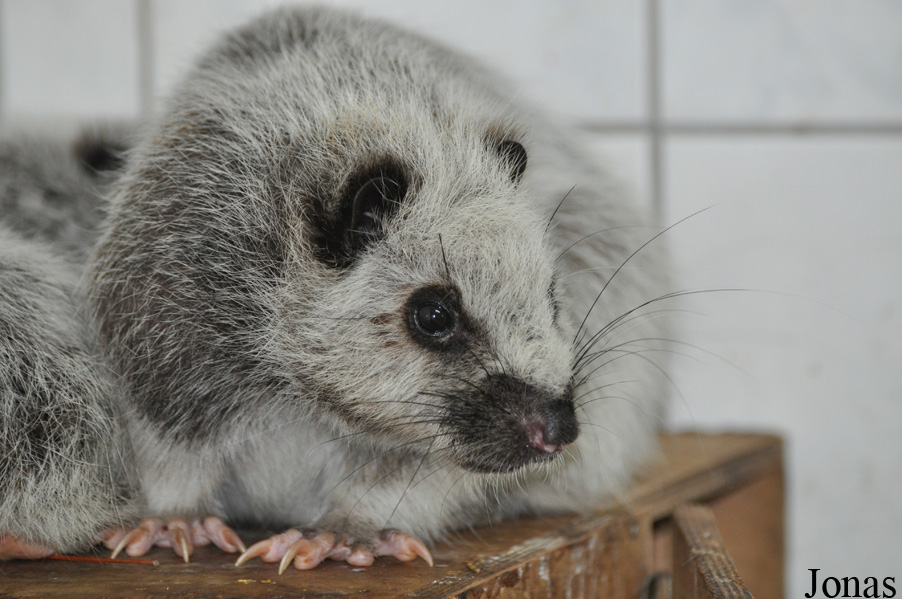 Zoo Wrocław