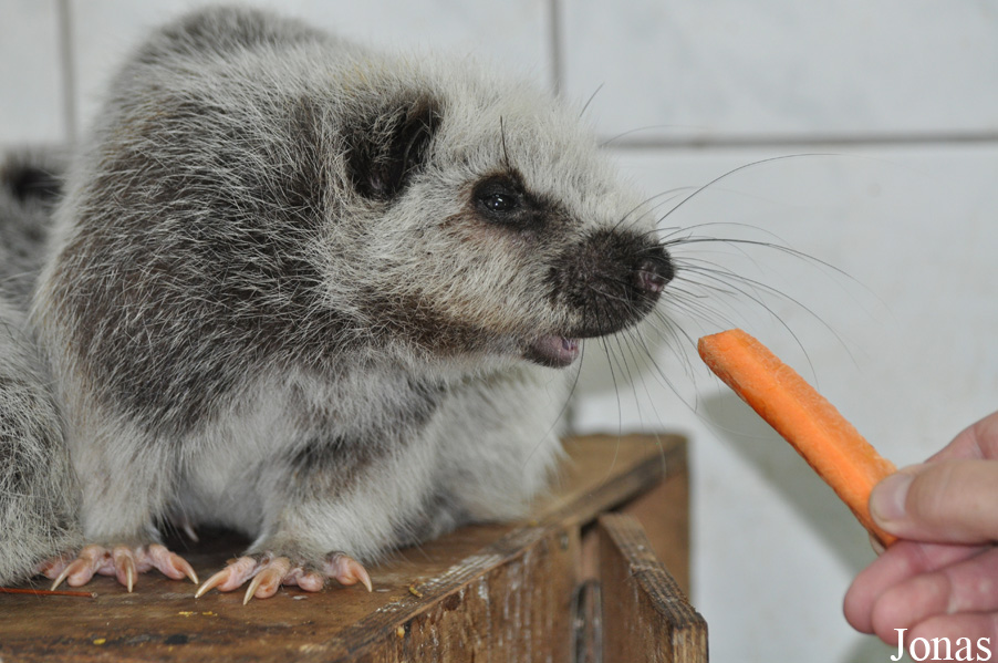 Zoo Wrocław