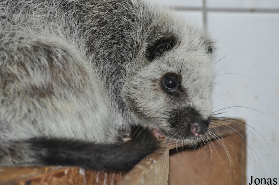 Zoo Wrocław