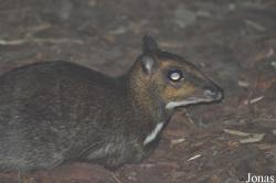 Zoo Wrocław
