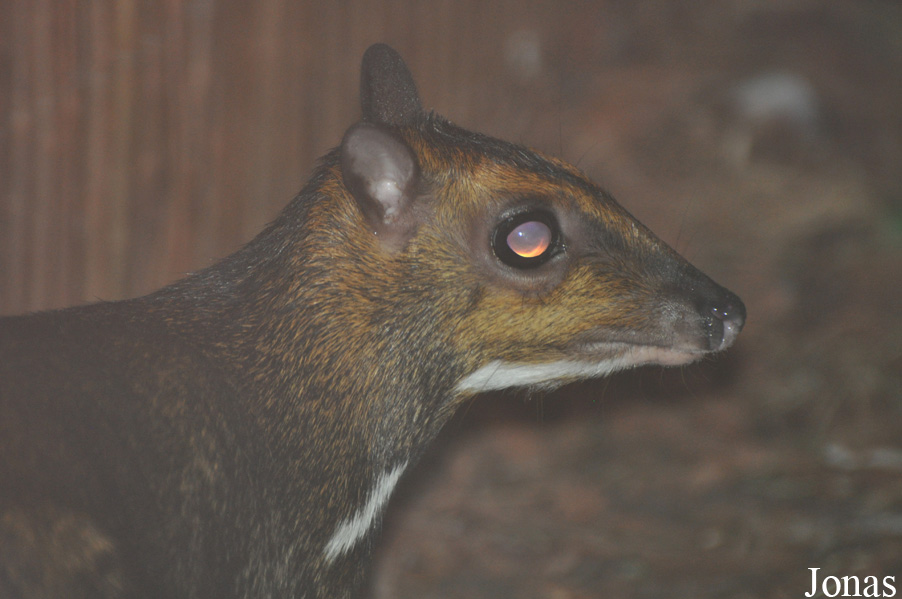 Zoo Wrocław