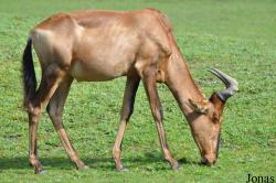 Zoo Wrocław