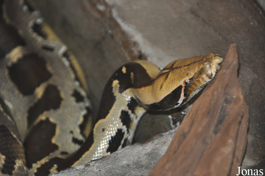 Zoo Wrocław