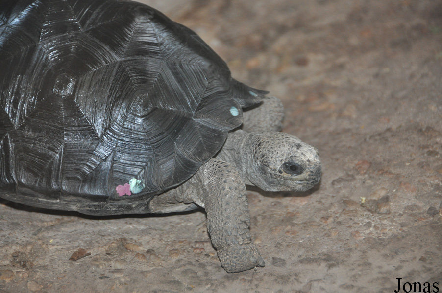 Zoo Wrocław