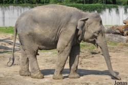 Zoo Ostrava