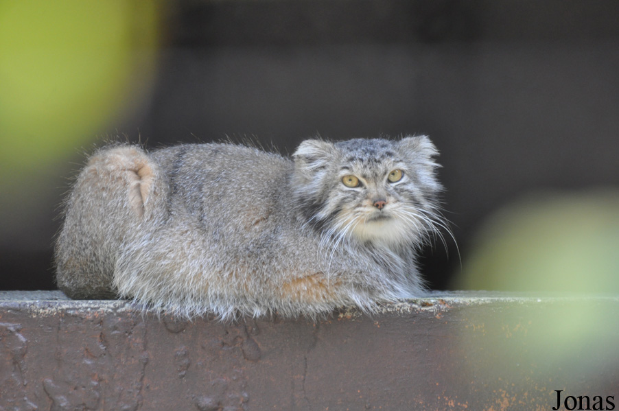 Zoo Ostrava