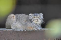 Zoo Ostrava