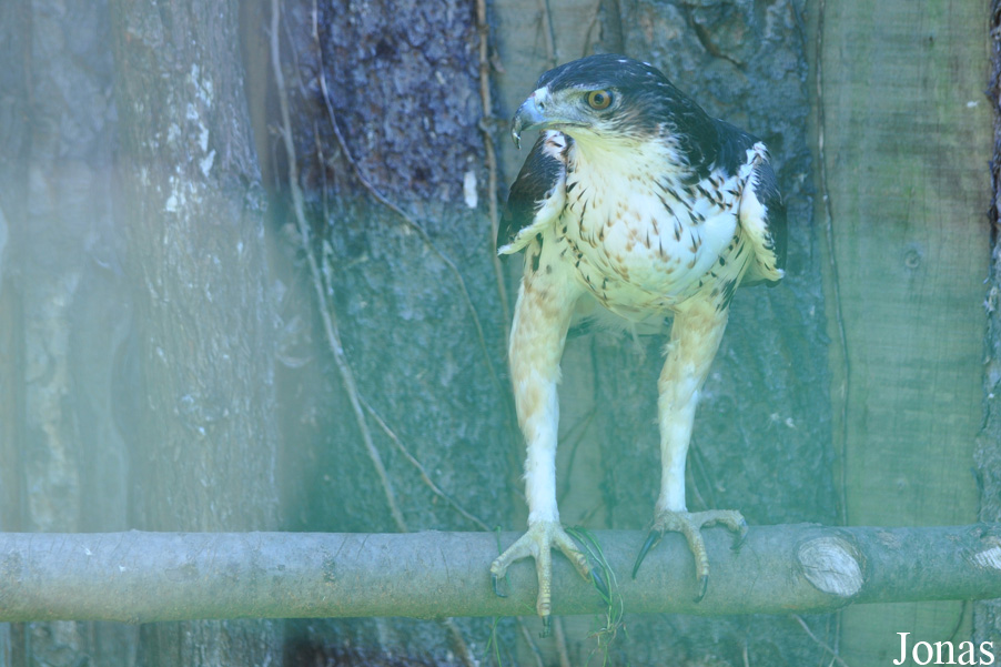 Zoopark Zájezd