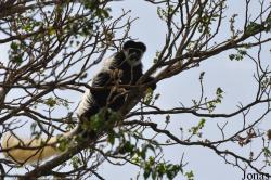 Arusha National Park