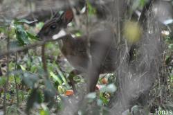 Arusha National Park