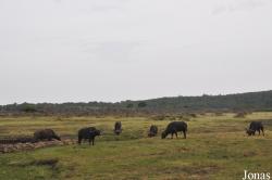 Arusha National Park
