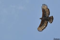 Arusha National Park