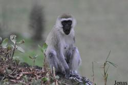 Arusha National Park