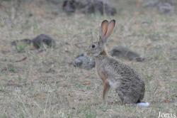 Arusha National Park