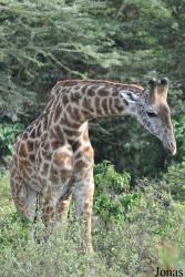 Arusha National Park