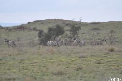 Enduimet Wildlife Management Area